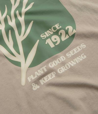 Dickies Herndon T-Shirt in Sandstone