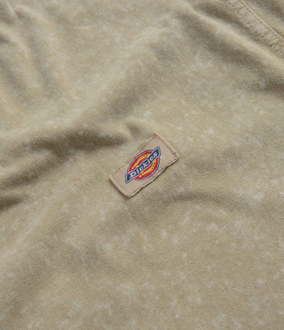 Dickies Newington T-Shirt in Sandstone