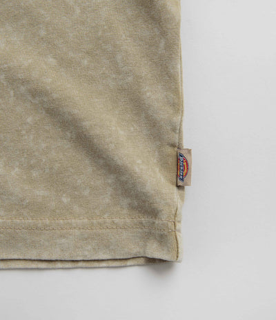 Dickies Newington T-Shirt in Sandstone