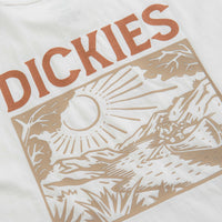 Dickies Patrick Springs T-Shirt in White thumbnail