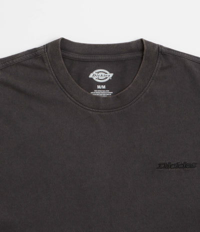 Dickies Plentywood T-Shirt in Black