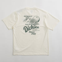 Dickies Raven T-Shirt in Cloud thumbnail