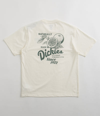 Dickies Raven T-Shirt in Cloud