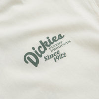 Dickies Raven T-Shirt in Cloud thumbnail