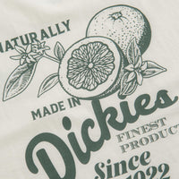 Dickies Raven T-Shirt in Cloud thumbnail