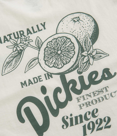 Dickies Raven T-Shirt in Cloud