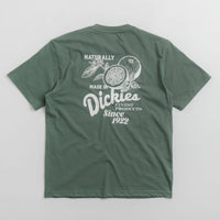 Dickies Raven T-Shirt - Dark Forest thumbnail