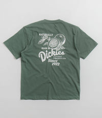 Dickies Raven T-Shirt - Dark Forest