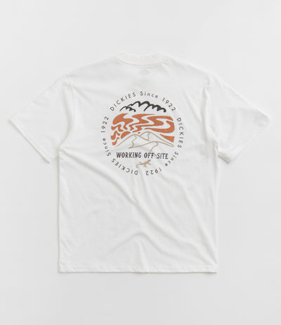 Dickies Stanardsville T-Shirt in White