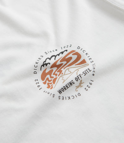 Dickies Stanardsville T-Shirt in White
