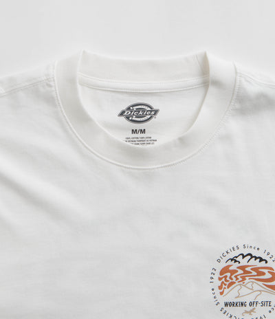 Dickies Stanardsville T-Shirt in White