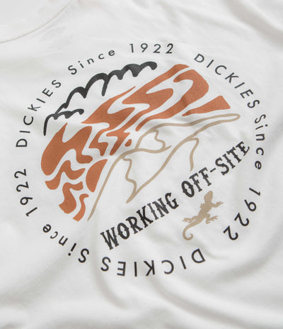 Dickies Stanardsville T-Shirt in White