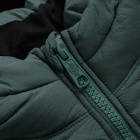 Dickies Waldenburg Hooded Jacket in Lincoln Green thumbnail