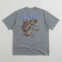 Gramicci Sticky Frog T-Shirt in Slate Pigment thumbnail