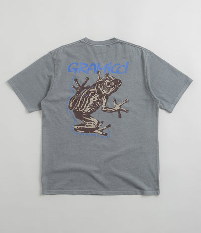 Gramicci Sticky Frog T-Shirt in Slate Pigment