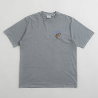 Gramicci Sticky Frog T-Shirt in Slate Pigment thumbnail