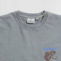 Gramicci Sticky Frog T-Shirt in Slate Pigment thumbnail