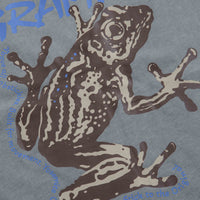 Gramicci Sticky Frog T-Shirt in Slate Pigment thumbnail