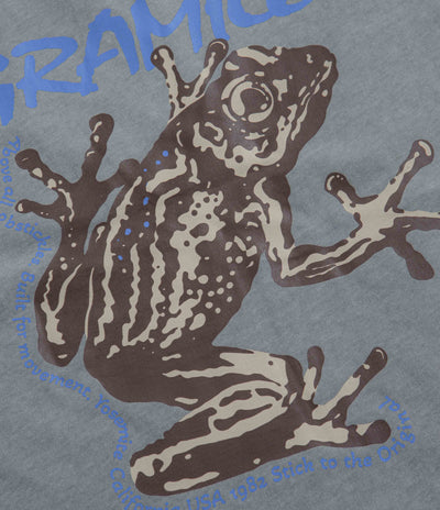 Gramicci Sticky Frog T-Shirt in Slate Pigment