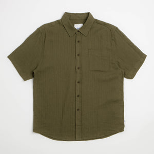 Olive Night