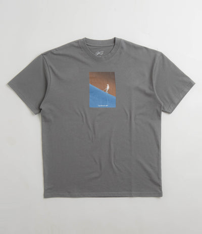 Last Resort AB Dunes T-Shirt in Graphite