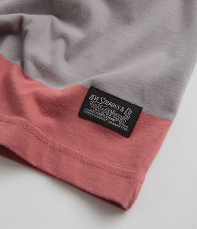 Levi's® Skate Graphic Boxy T-Shirt in Everyday Now Mauve Grey