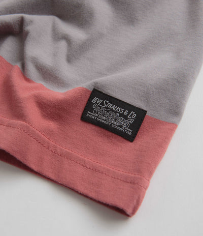 Levi's® Skate Graphic Boxy T-Shirt - Everyday Now Mauve Grey