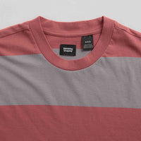 Levi's® Skate Graphic Boxy T-Shirt in Everyday Now Mauve Grey thumbnail