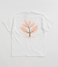 Magenta Blossom T-Shirt in White