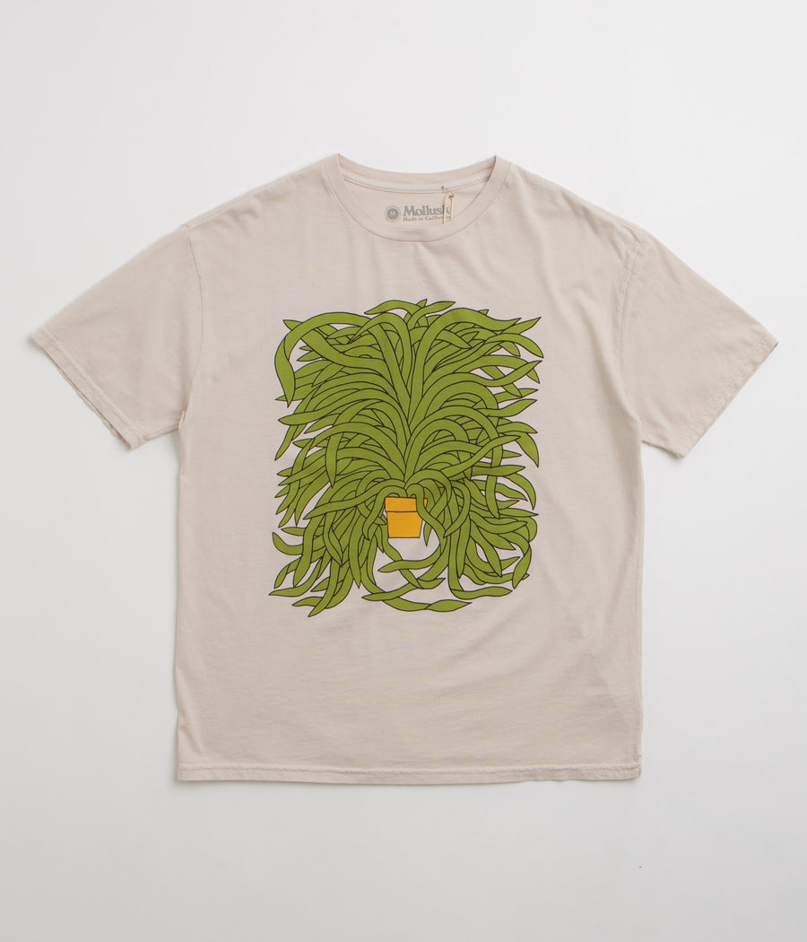 Mollusk Grow T-Shirt in Fog
