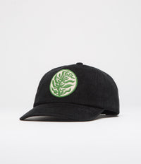 Mollusk Kelp Patch Cap - Black Corduroy | flatspot