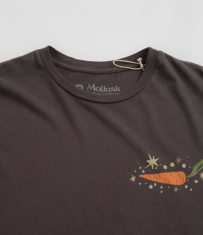 Mollusk Outer Veggie T-Shirt in Faded Black