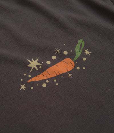 Mollusk Outer Veggie T-Shirt in Faded Black