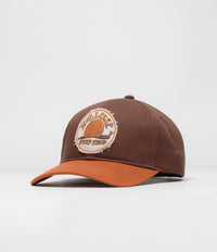 Mollusk Snail Patch Cap in Brown and Orange