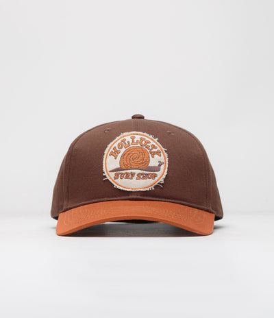 Mollusk Snail Patch Cap in Brown and Orange