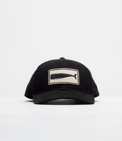 Mollusk Whale Patch Cap - Black
