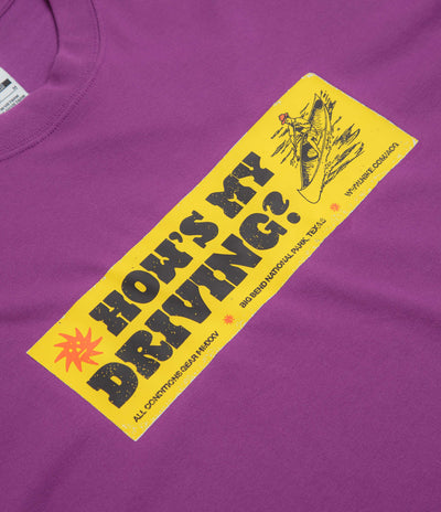 Nike ACG Canoe Sticker T-Shirt - Bold Berry