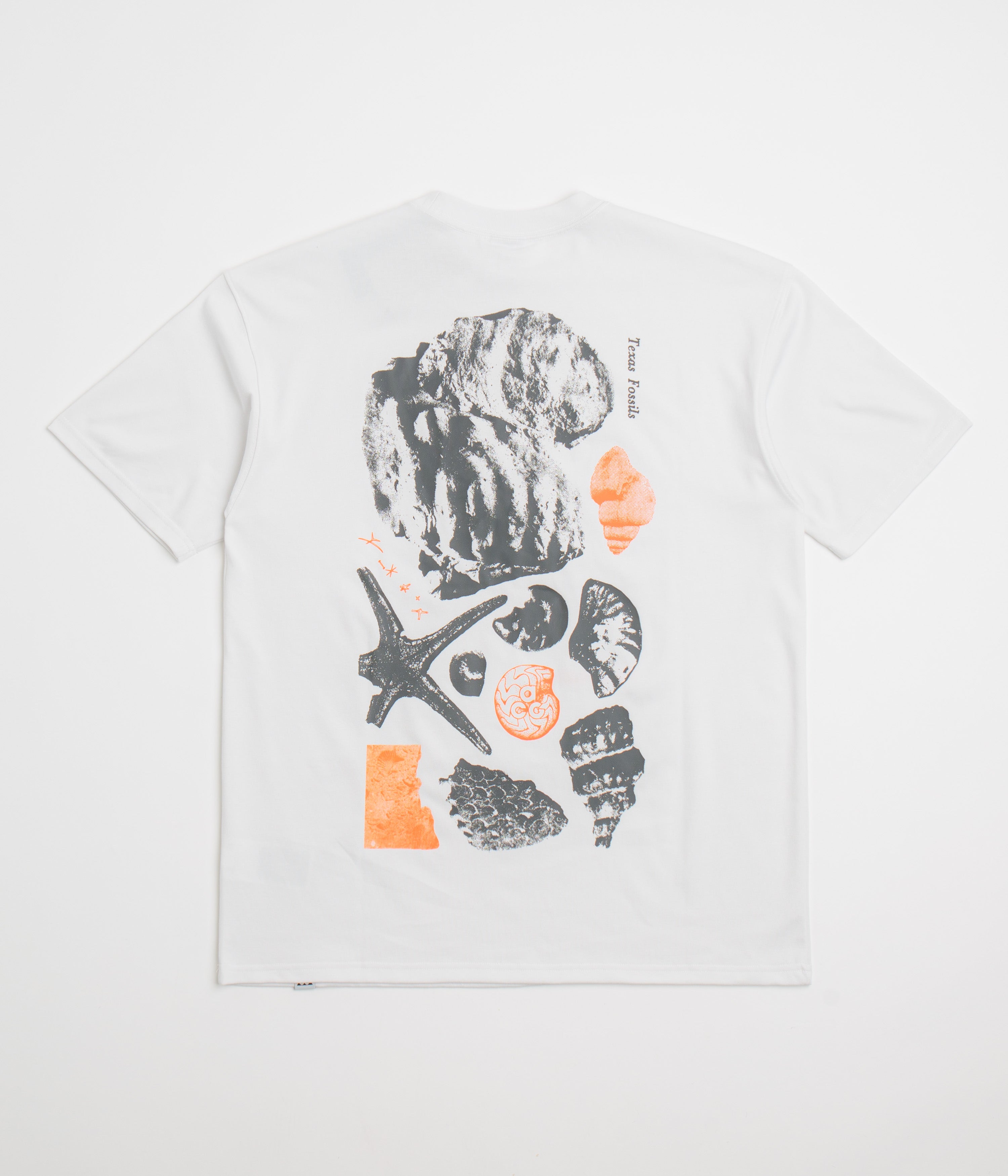 Nike ACG Fossils T-Shirt in Summit White
