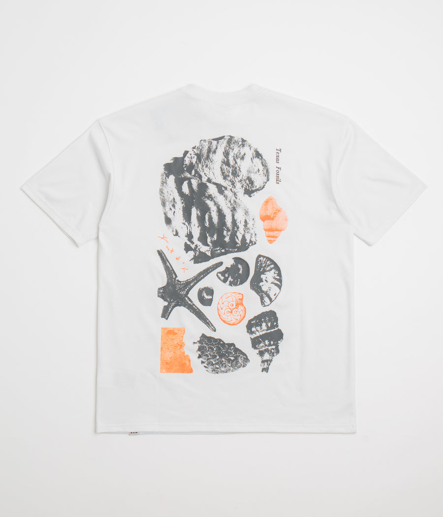 Nike ACG Fossils T-Shirt in Summit White