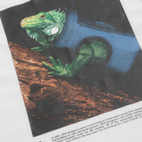 Nike ACG Iguana Vest T-Shirt in Summit White thumbnail