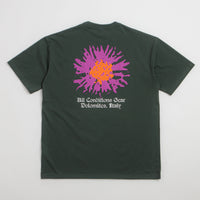 Nike ACG Meadows T-Shirt in Black Spruce thumbnail
