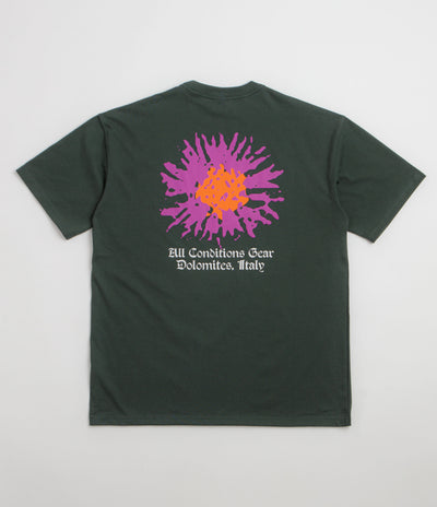 Nike ACG Meadows T-Shirt in Black Spruce