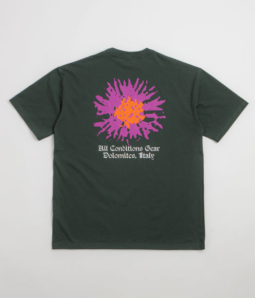 Nike ACG Meadows T-Shirt - Black Spruce