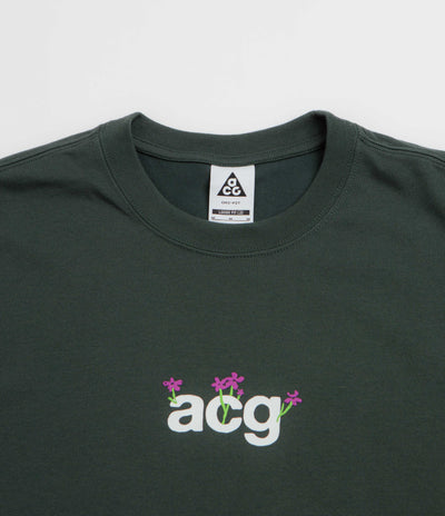 Nike ACG Meadows T-Shirt in Black Spruce