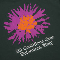 Nike ACG Meadows T-Shirt in Black Spruce thumbnail