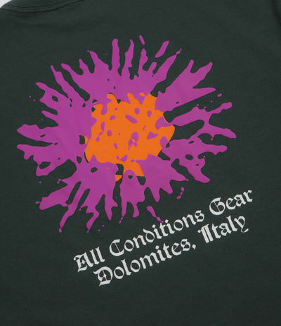 Nike ACG Meadows T-Shirt in Black Spruce