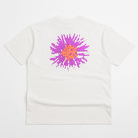 Nike ACG Meadows T-Shirt - Phantom thumbnail