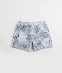 Nike ACG Reservoir Goat Shorts in Football Grey and Thunder Blue / Summit White