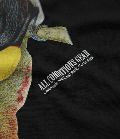 Nike ACG Toucan T-Shirt in Black