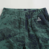 Nike ACG Wolf Tree Pants in Bicoastal and Thunder Blue / Summit White thumbnail